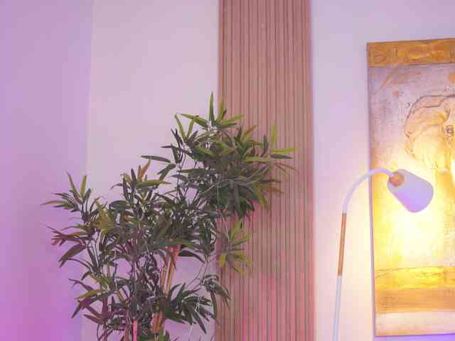 AishaBee