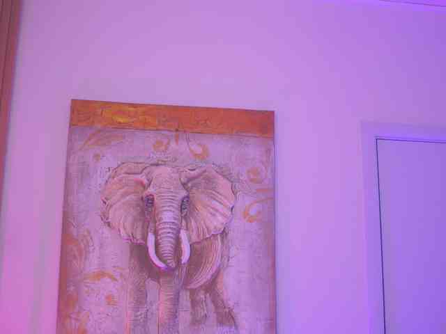 AishaBee webcam