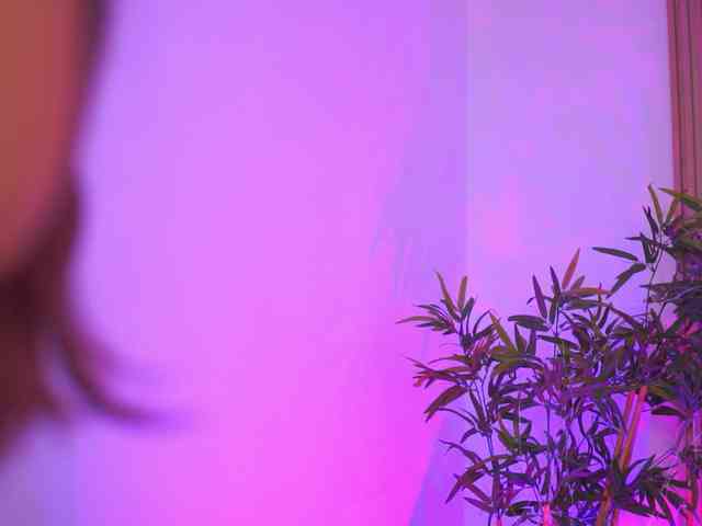 AishaBee webcam