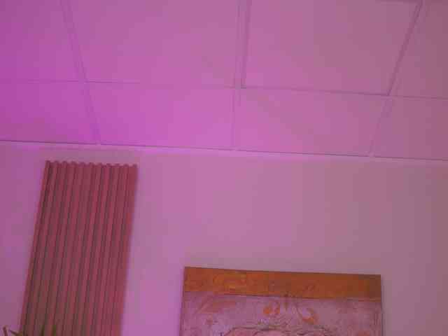 AishaBee webcam