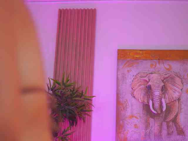 AishaBee webcam