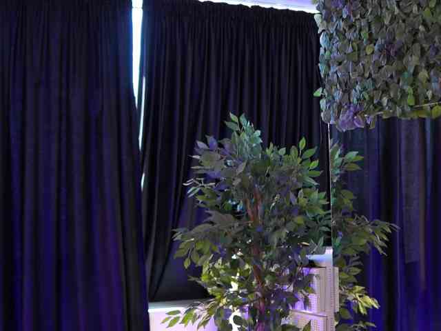 AishaBee webcam