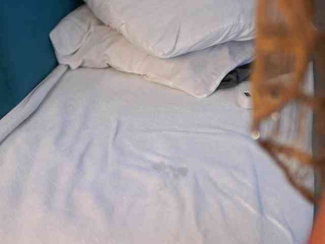 AishaBee webcam
