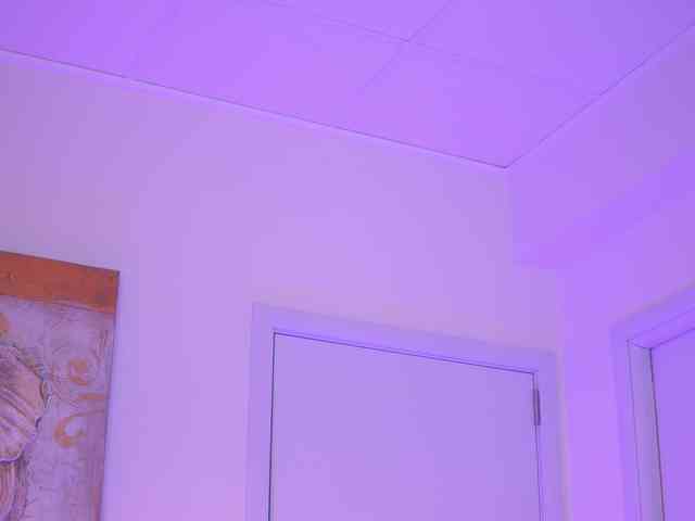 AishaBee webcam