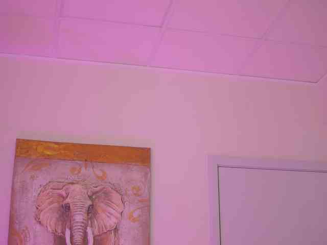 AishaBee webcam