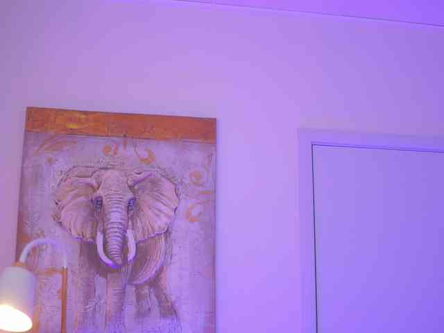 AishaBee webcam