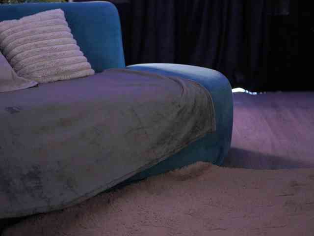AishaBee webcam