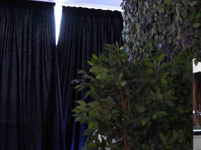 AishaBee webcam