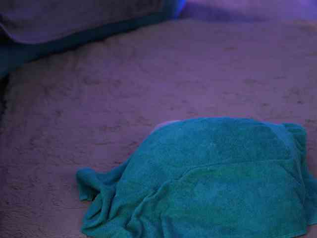 AishaBee webcam