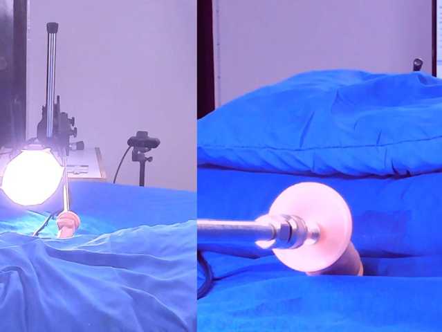 Lucy-Cute live cam on BongaCams