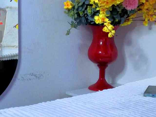 Misskarla webcam
