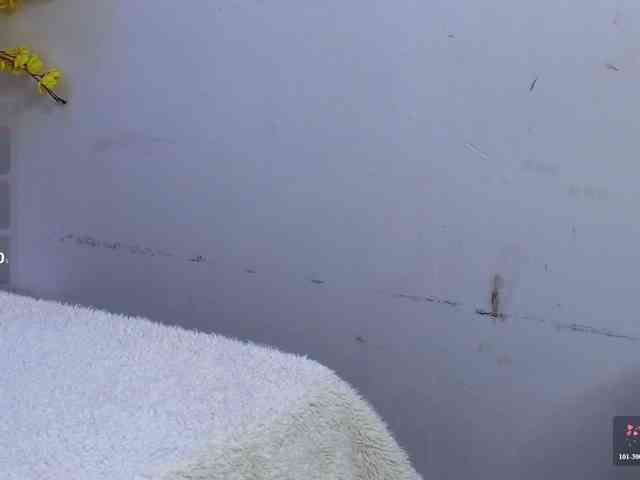 Misskarla webcam