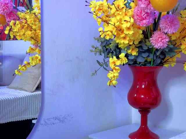 Misskarla webcam