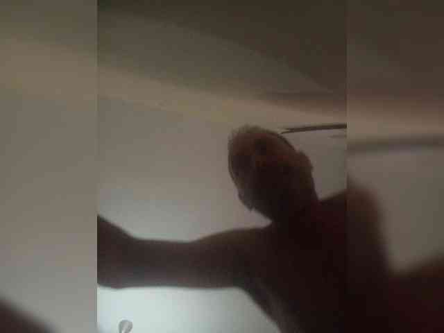 Exitad Sex Cam Show
