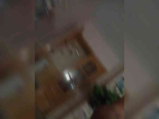 Exitad Exitad