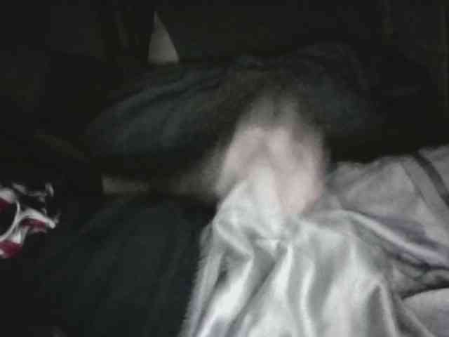 dozerlildick