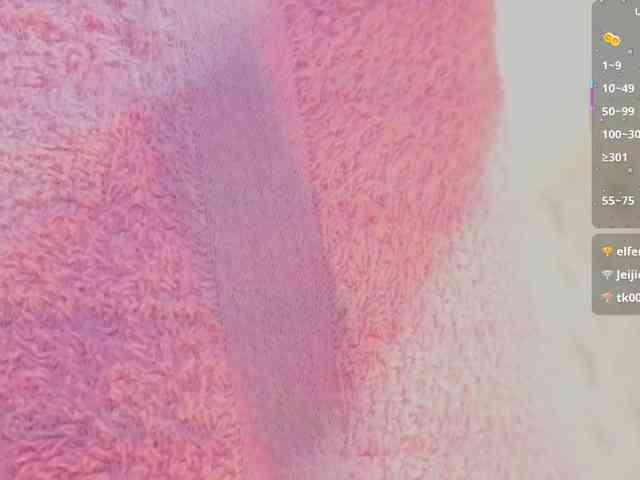 MARIANNA-TAY webcam