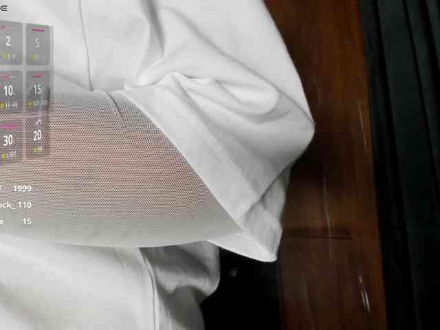 CreamyInk webcam