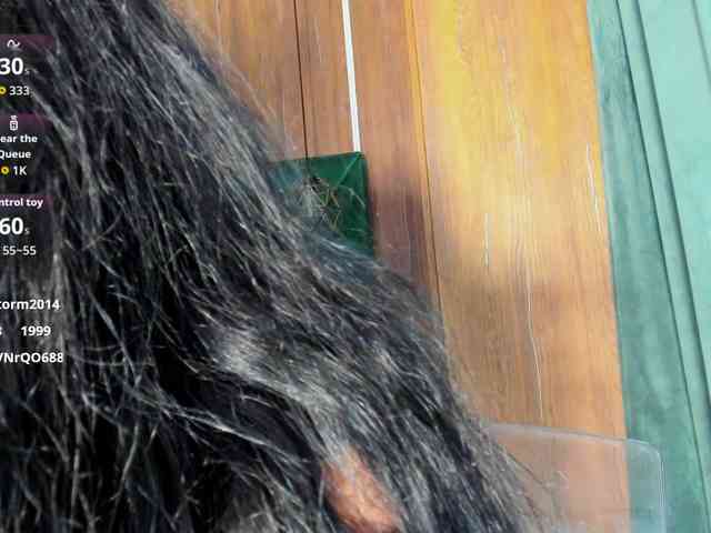 CreamyInk webcam