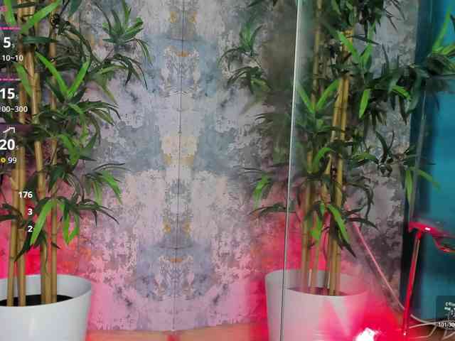 CreamyInk webcam