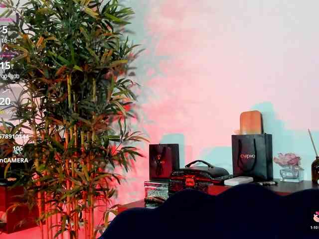 CreamyInk webcam