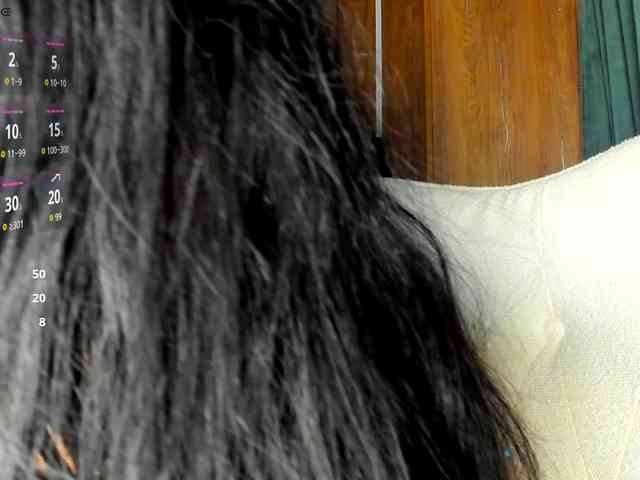 CreamyInk webcam