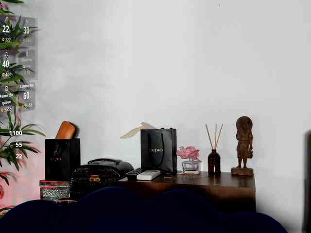 CreamyInk webcam