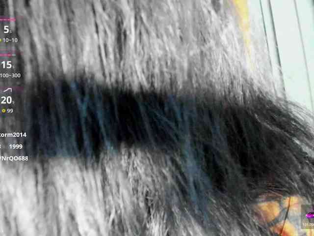 CreamyInk webcam