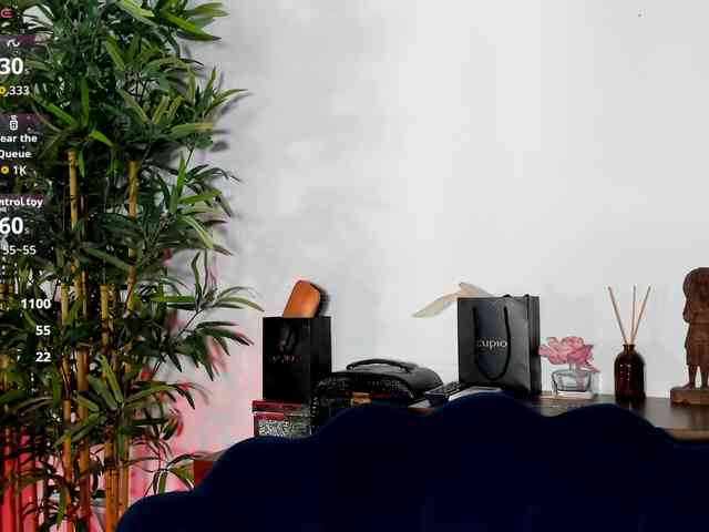 CreamyInk webcam