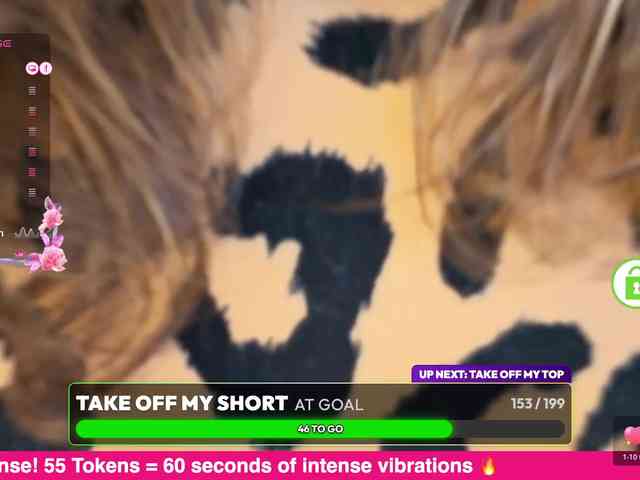 miasirenlive webcam