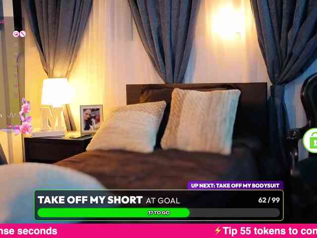 miasirenlive webcam