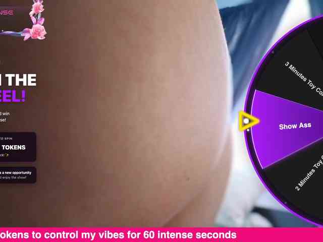 miasirenlive webcam
