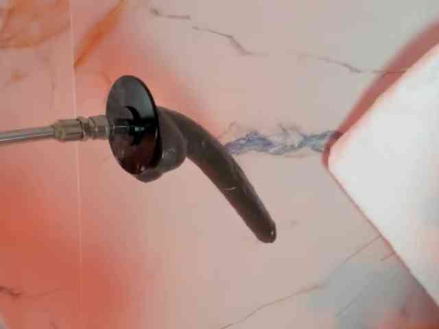 hadecute webcam