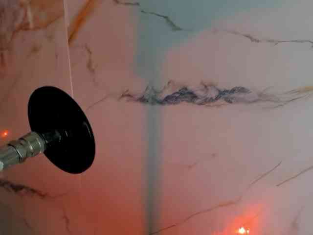 hadecute webcam