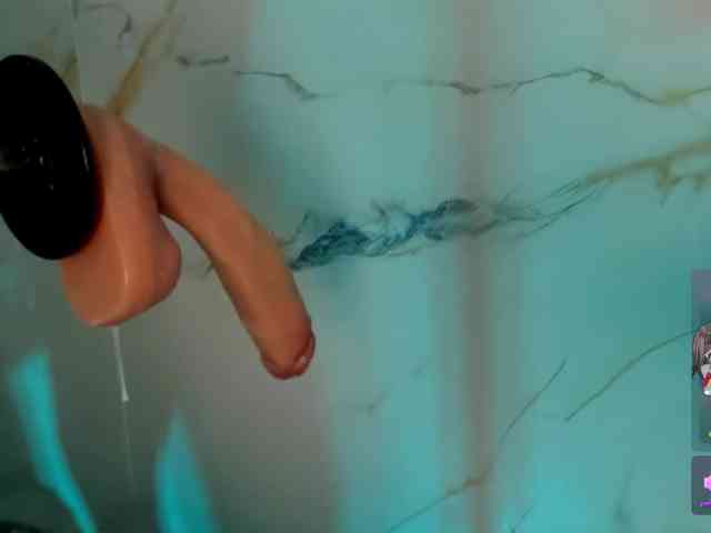 hadecute webcam