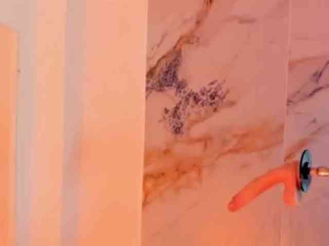 hadecute webcam