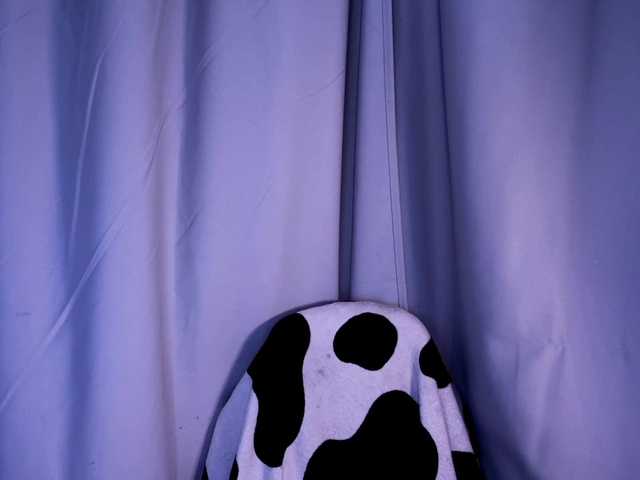 DarinaWilson live cam on BongaCams