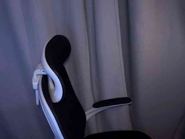 DarinaWilson webcam