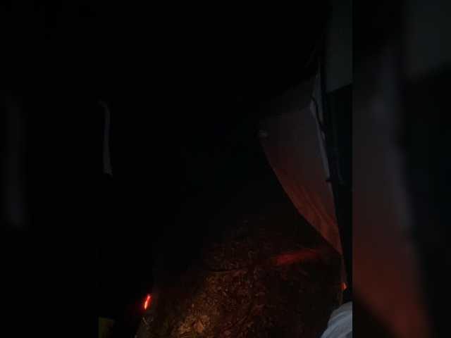 Lionela live cam
