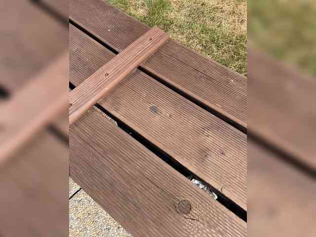 Lionela Sex Cam Show