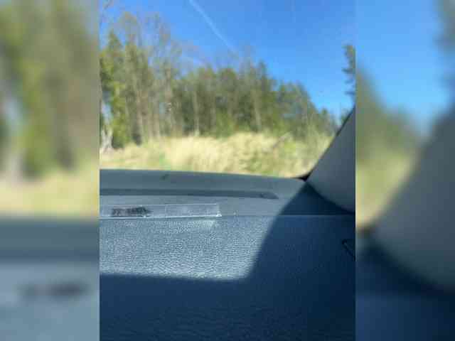 Lionela Live Webcam on BongaCams