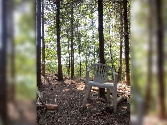 Lionela