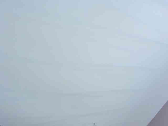 SarayCollins webcam
