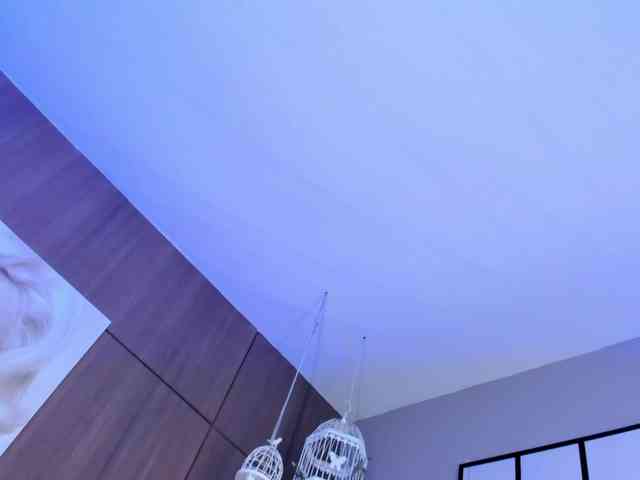 SarayCollins webcam
