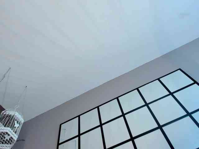 SarayCollins webcam