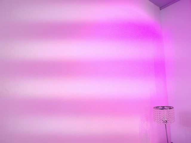 Lia-adams live cam on BongaCams