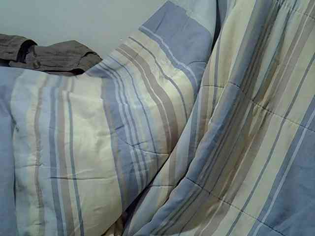 Sweetpussie webcam