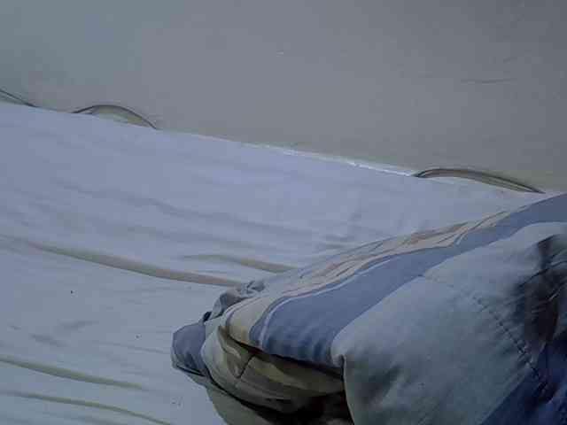 Sweetpussie webcam