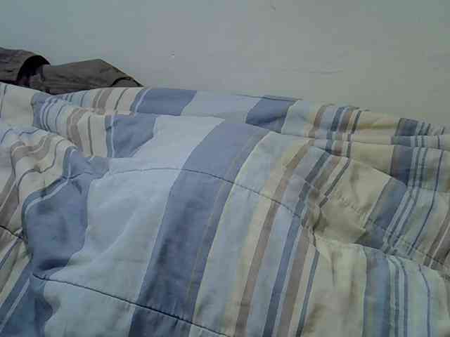 Sweetpussie webcam