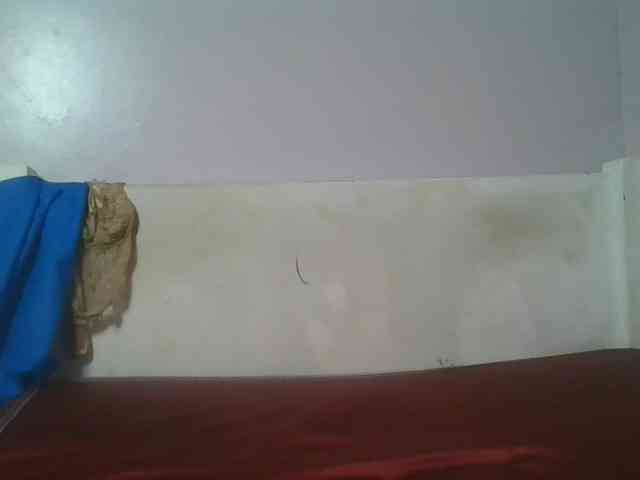 Sexyicey webcam